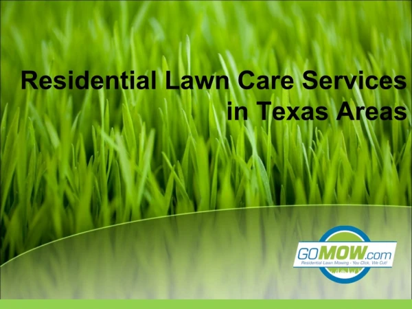 Looking for lawn mowing service near Texas?