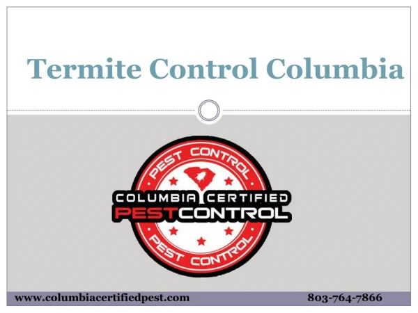 Termite Control Columbia South Carolina