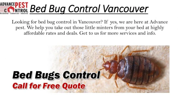 Bed Bug Control Vancouver - Advance Pest