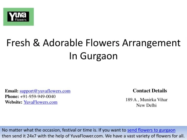 Fresh & Adorable Flowers Arrangement In Gurgaon