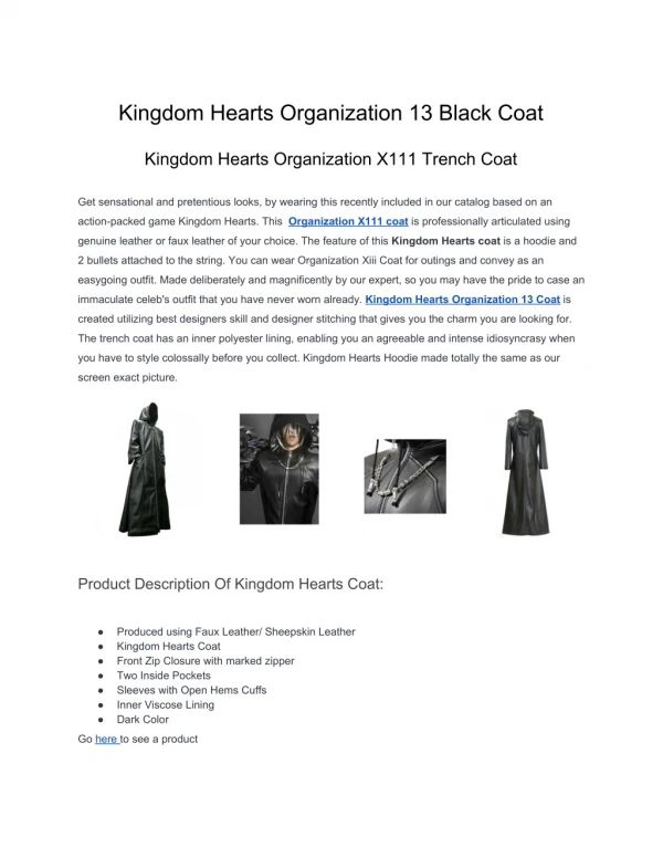 Kingdom Hearts Organization 13 Black Coat