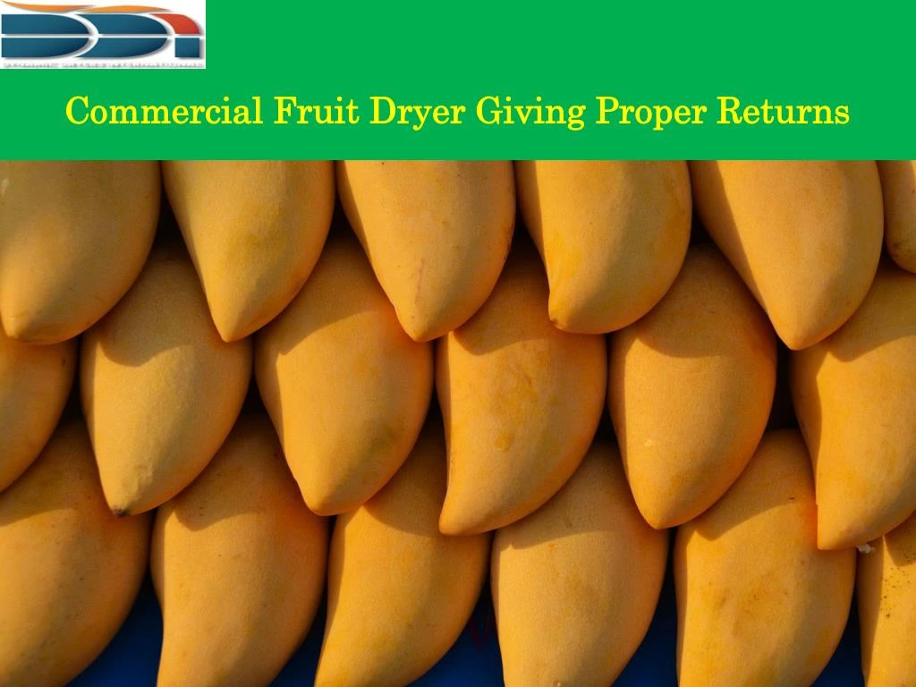 commercial fruit dryer giving proper returns