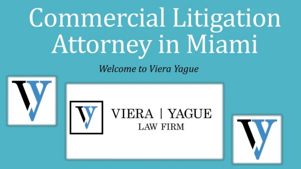 Commercial Litigation Attorney in Miami - Vierayague