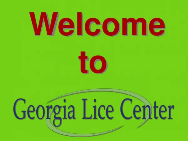 Professional Lice Removal Salon - Georgia Lice Center