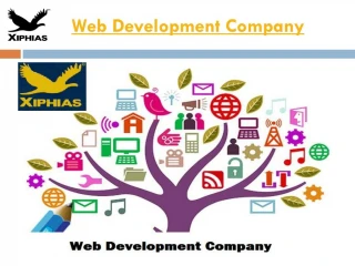 Web Development Company - slide 1