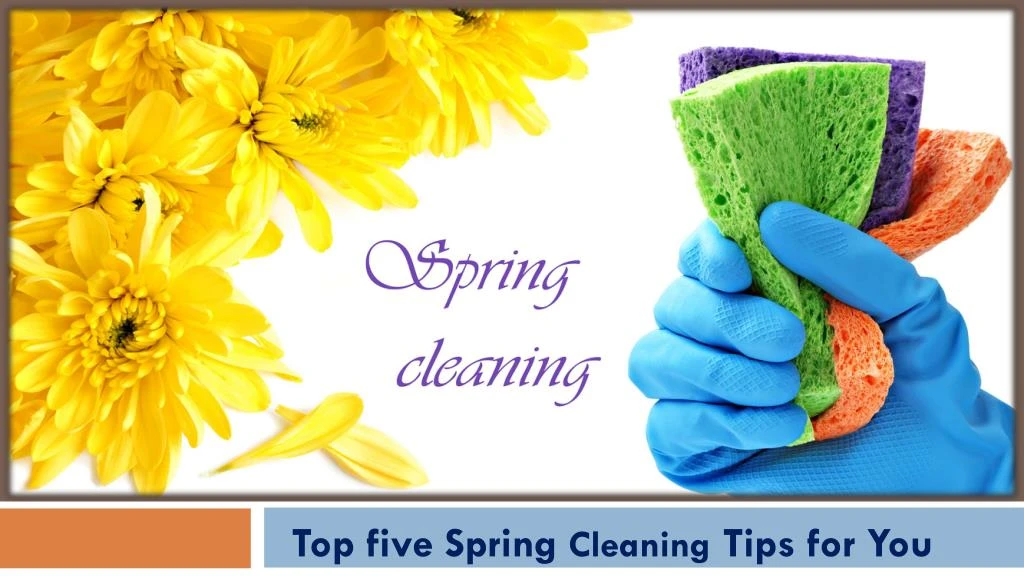 top five spring cleaning tips for you