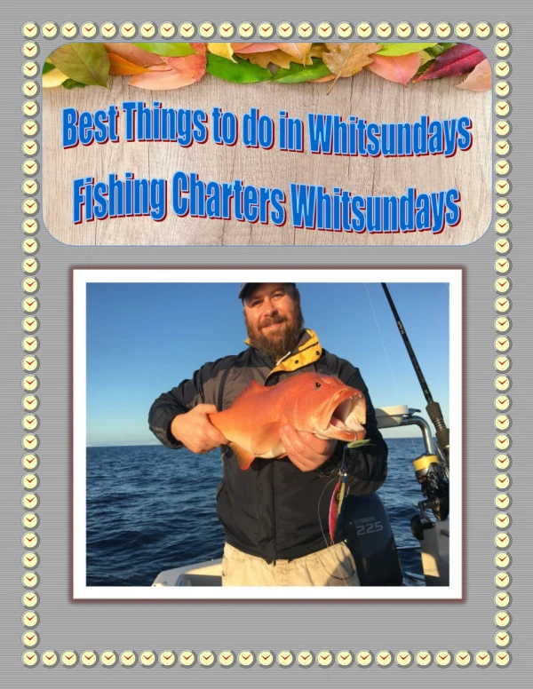 Best Things to do in Whitsundays - Fishing Charters Whitsundays