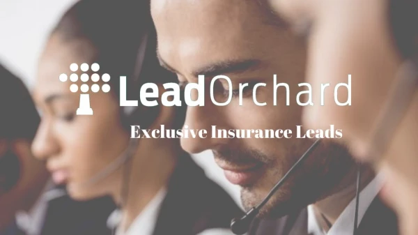Lead Orchard â€“ A Leading Insurance Leads Provider