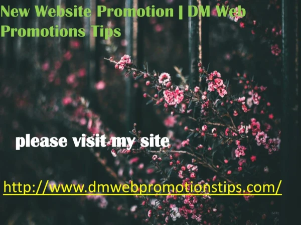 http www dmwebpromotionstips com