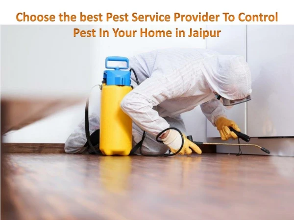 Choose the best Pest Service Provider To Control Pest In Your Home in Jaipur