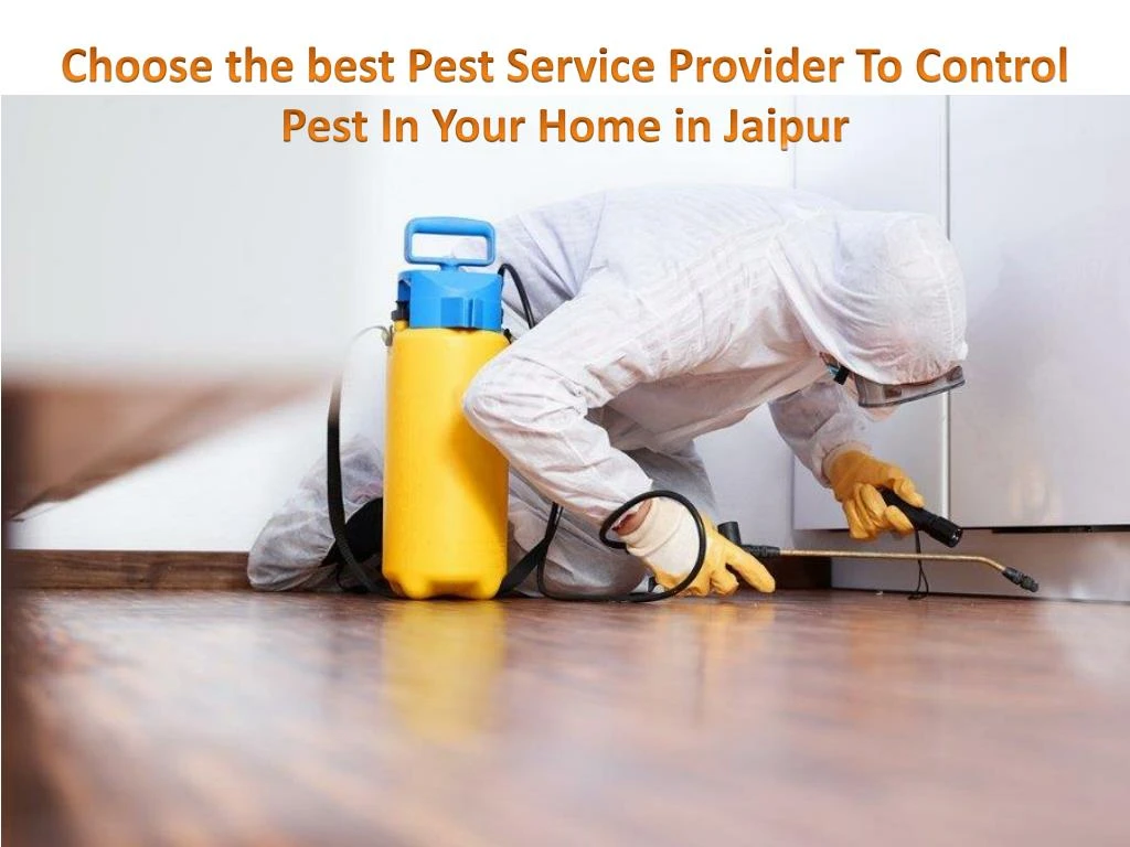choose the best pest service provider to control