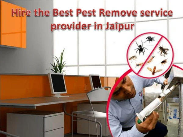 Hire the Best Pest Remove service provider in Jaipur
