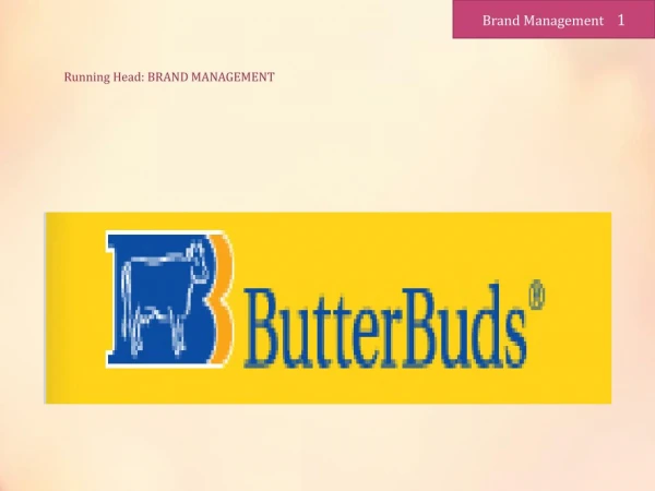 Brand Marketing Assignment Help