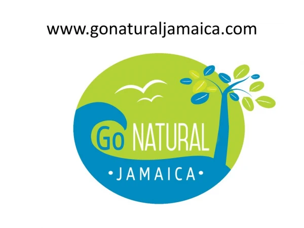 Master cleanse jamaica www.gonaturaljamaica.com