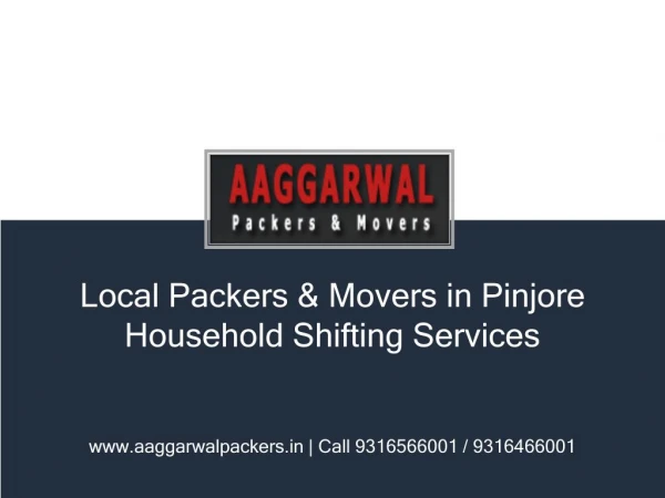 Local Packers & Movers in Pinjore | Household Shifting Services