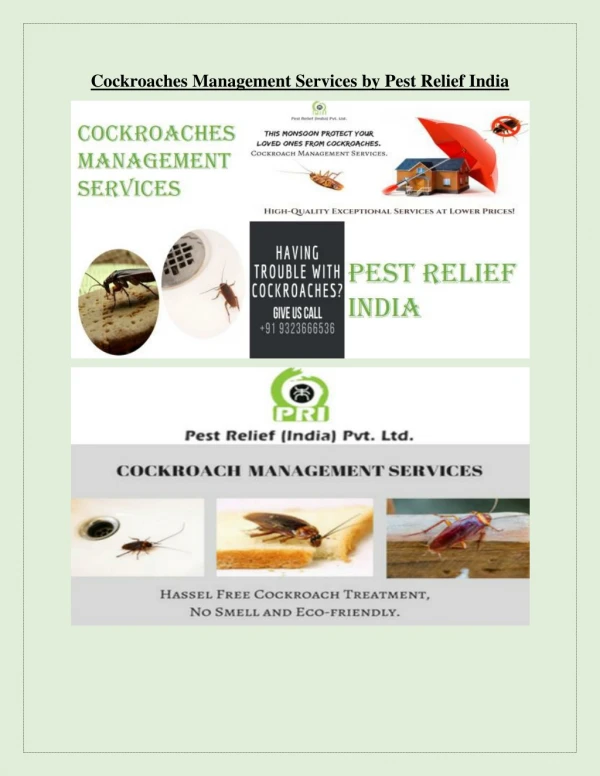 Cockroaches Management Services by Pest Relief India
