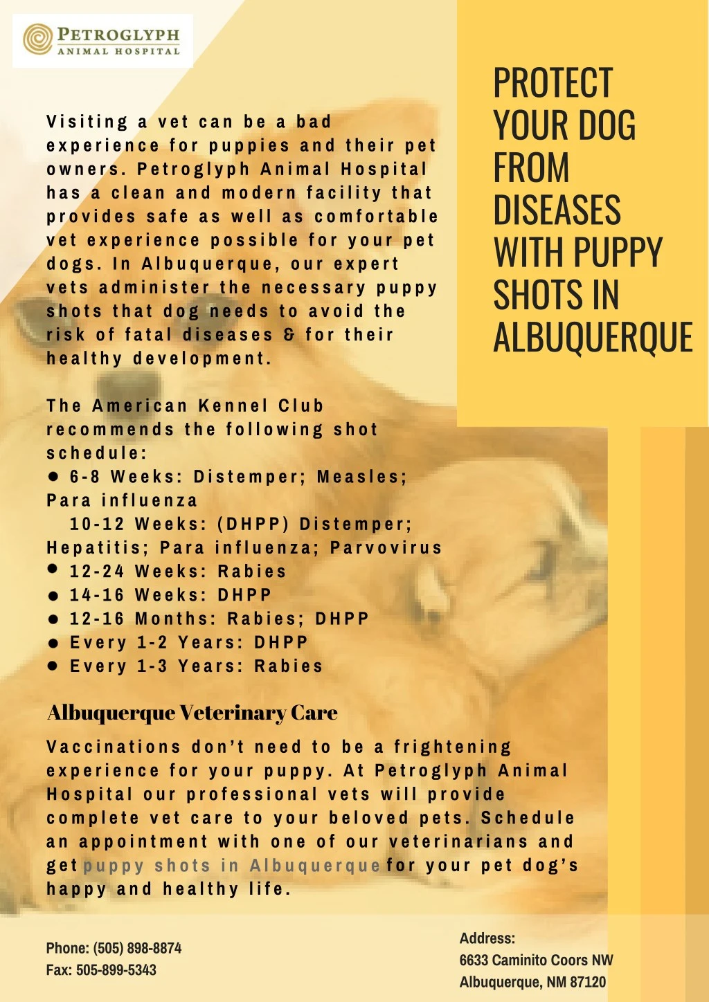 protect your dog from diseases with puppy shots