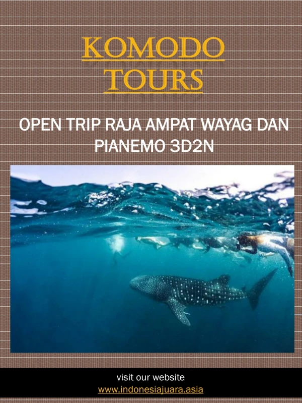 Komodo Tours | indonesiajuara.asia