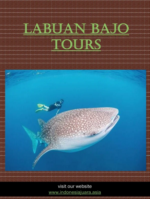 Labuan Bajo Tours | indonesiajuara.asia