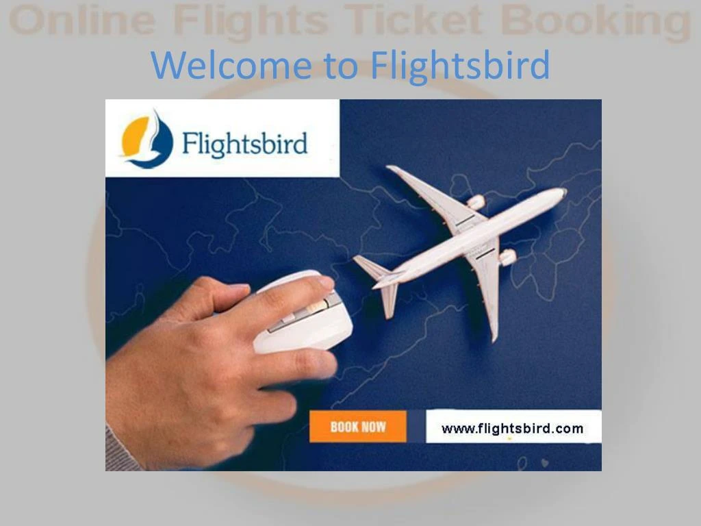 welcome to flightsbird