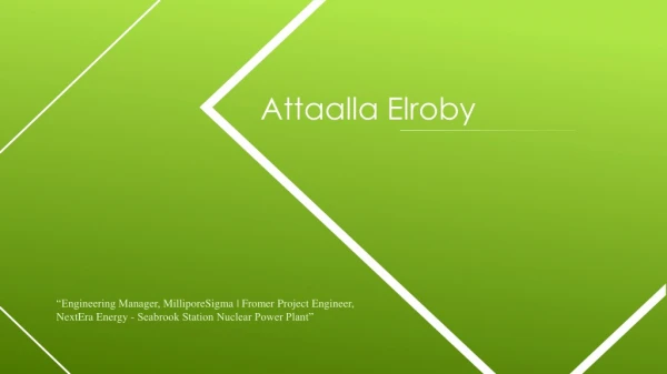 Attaalla Elroby - Engineering Manager From Marblehead