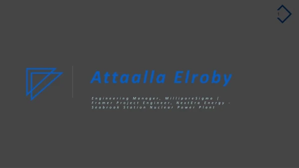 Attaalla Elroby - Experienced Professional From Massachusetts