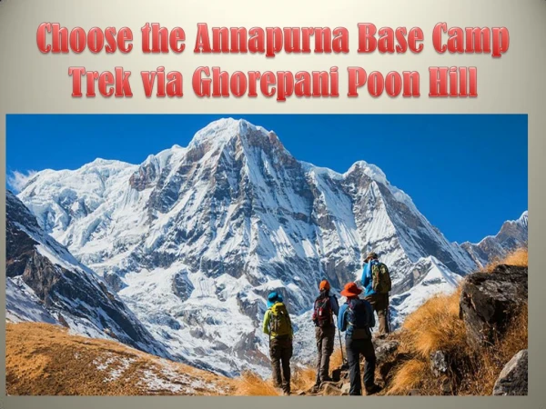 Choose the Annapurna Base Camp Trek via Ghorepani Poon Hill