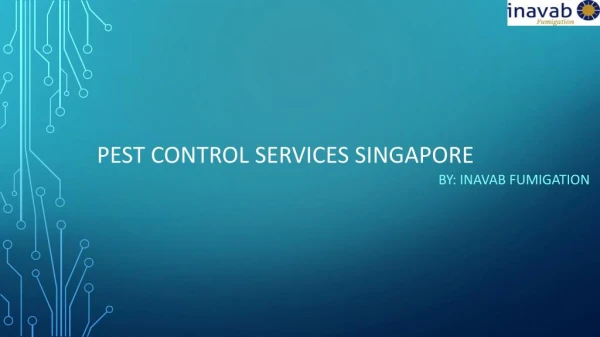 Looking for Pest Control Services in Singapore