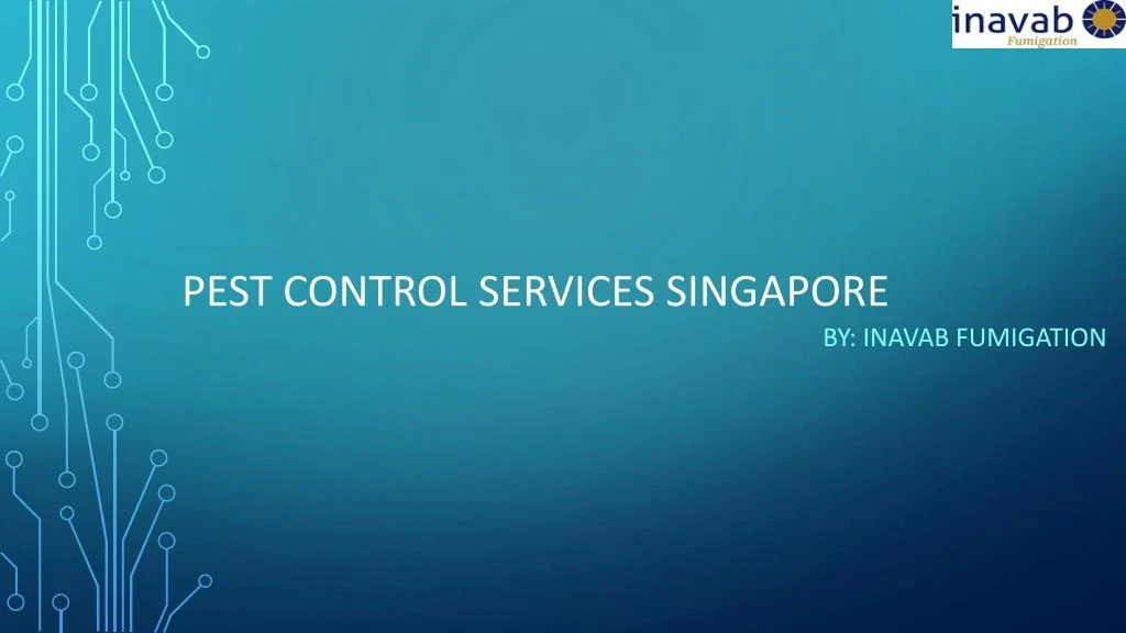 pest control services singapore