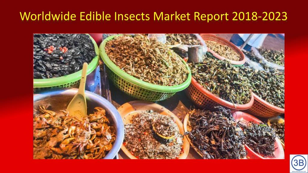 worldwide edible insects market report 2018 2023