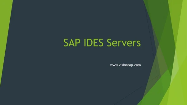 SAP IDES Servers