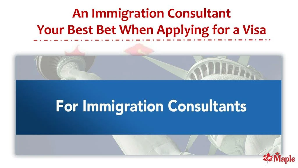 an immigration consultant your best bet when