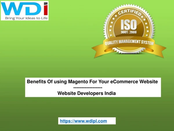 Magento For Your eCommerce Website