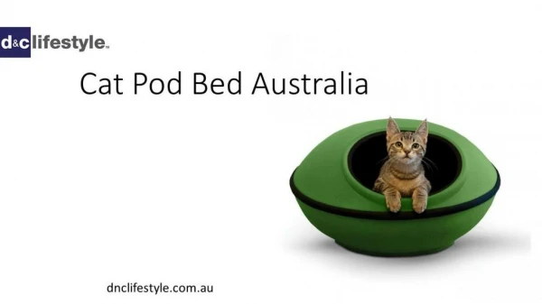 Buy Cat Pod Bed Australia - dnclifestyle.com.au