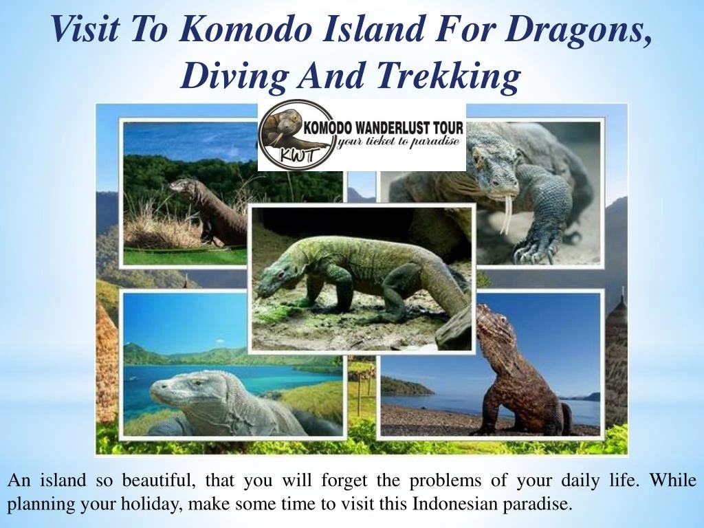 visit to komodo island for dragons diving