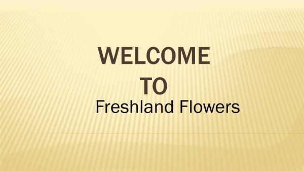 Looking for the Flower Delivery Services in Markham