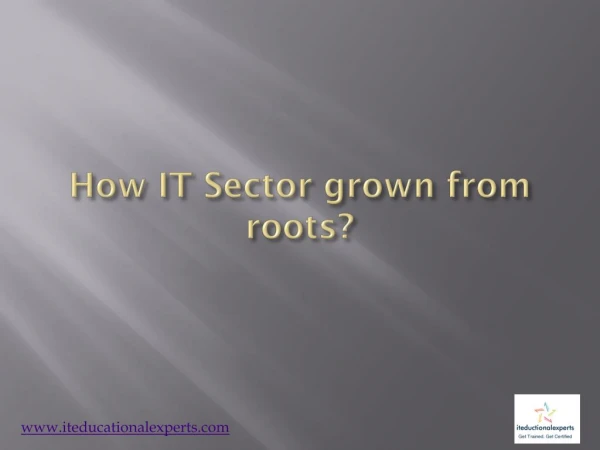 How IT Sector grown from roots?