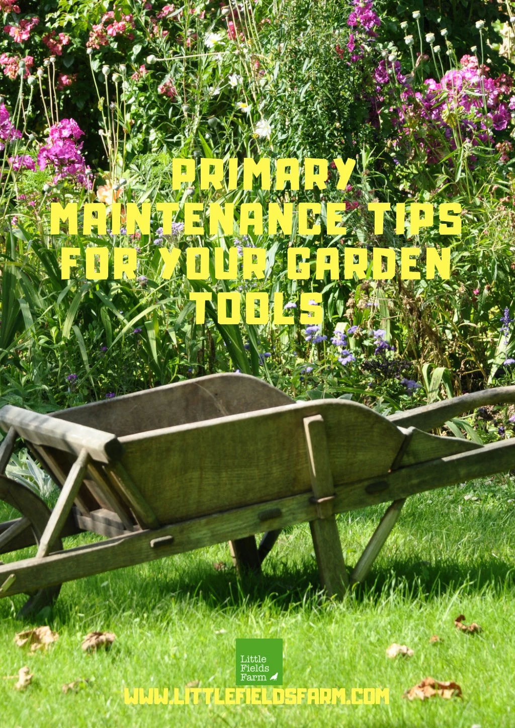 primary maintenance tips for your garden tools