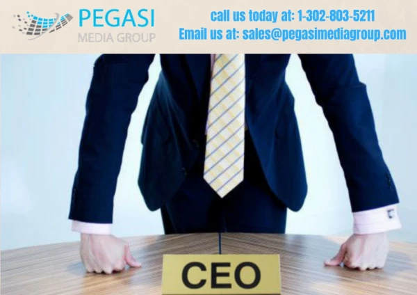 Chief Executive Officer Email List| CEO Mailing List in USA