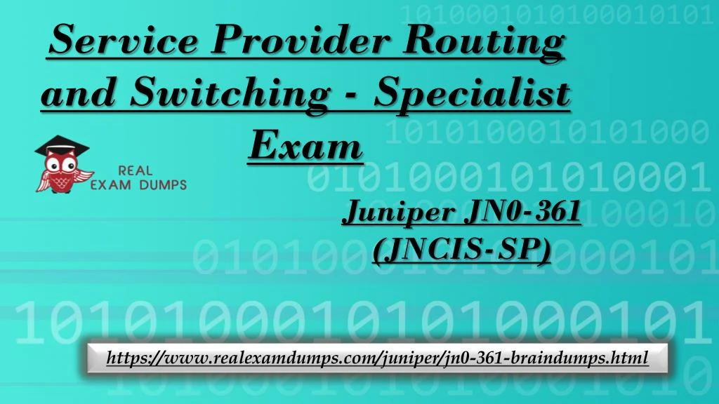 service provider routing and switching specialist