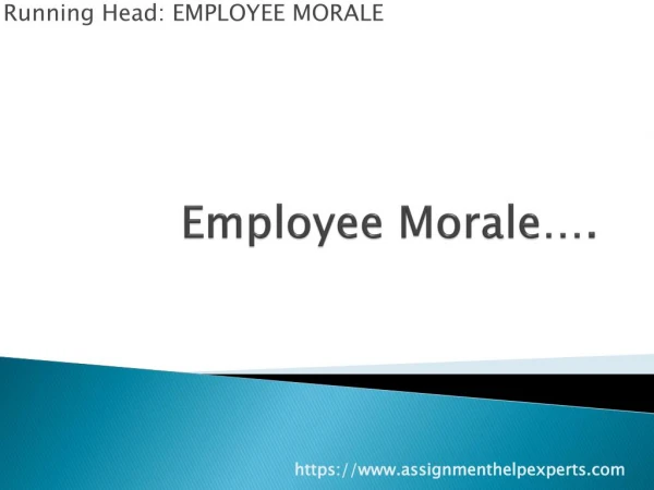 Employees work environment assignment help