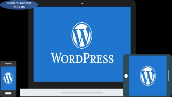Free WordPress installation service And Setup | Wordpress Technical Support