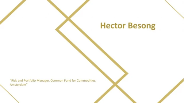 Hector Besong - Experienced Professional From The Netherlands