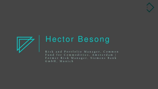Hector Besong - Working as Risk and Portfolio Manager