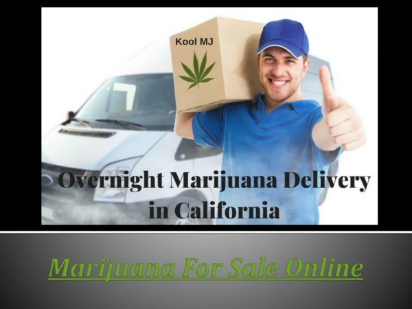 Kool MJ - Marijuana Online Store