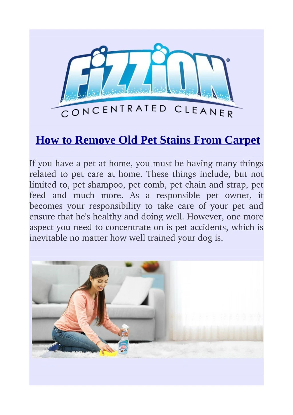 ppt-how-to-remove-old-pet-stains-from-carpet-powerpoint-presentation