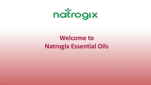 Rosemary essential oils | Natrogix