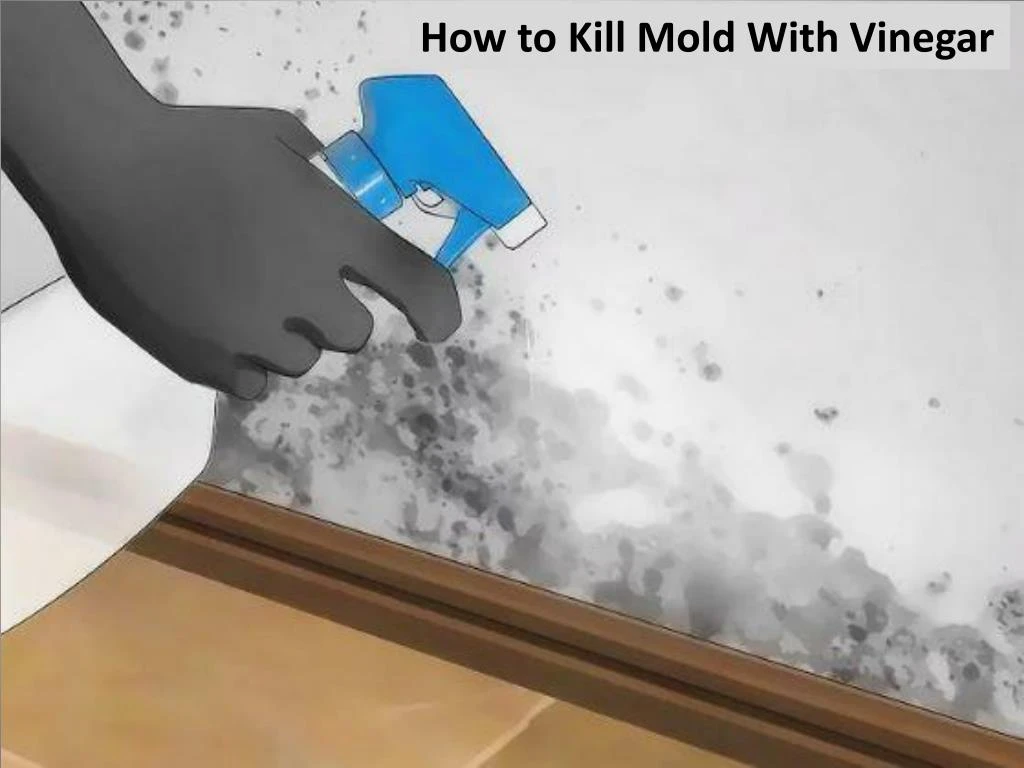 how to kill mold with vinegar