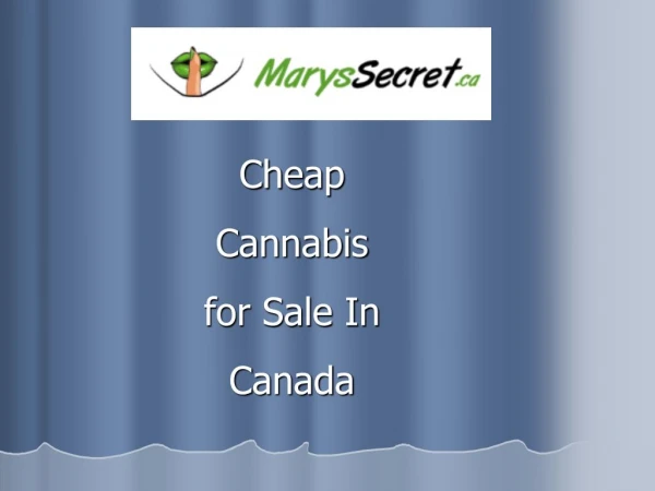 Marys Secret - Cheap Cannabis for Sale In Canada
