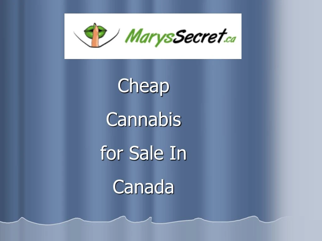 cheap cannabis for sale in canada